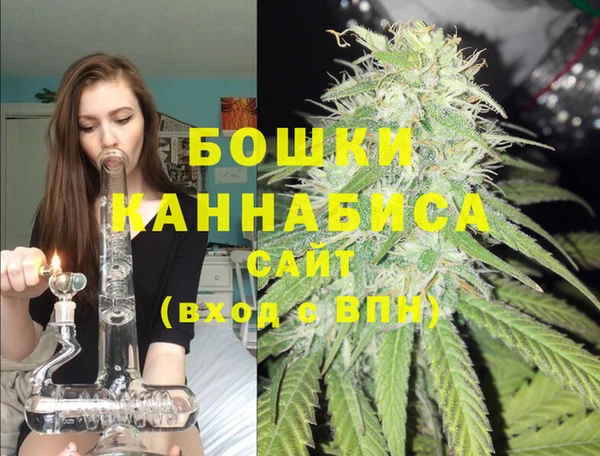 бошки Арсеньев