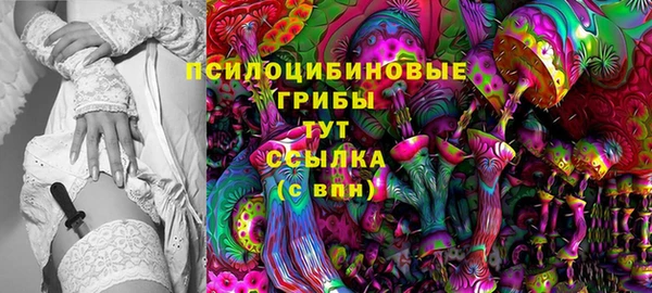 бошки Арсеньев
